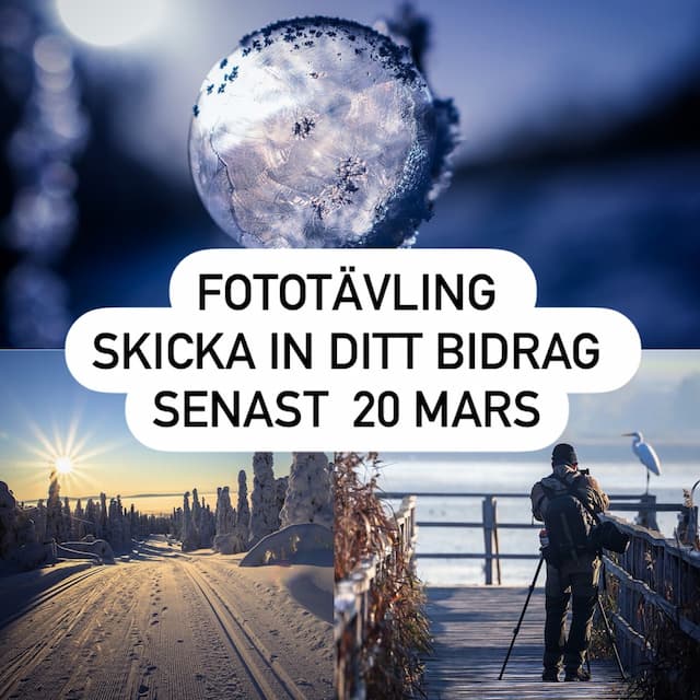 Fototävling - vinterbild